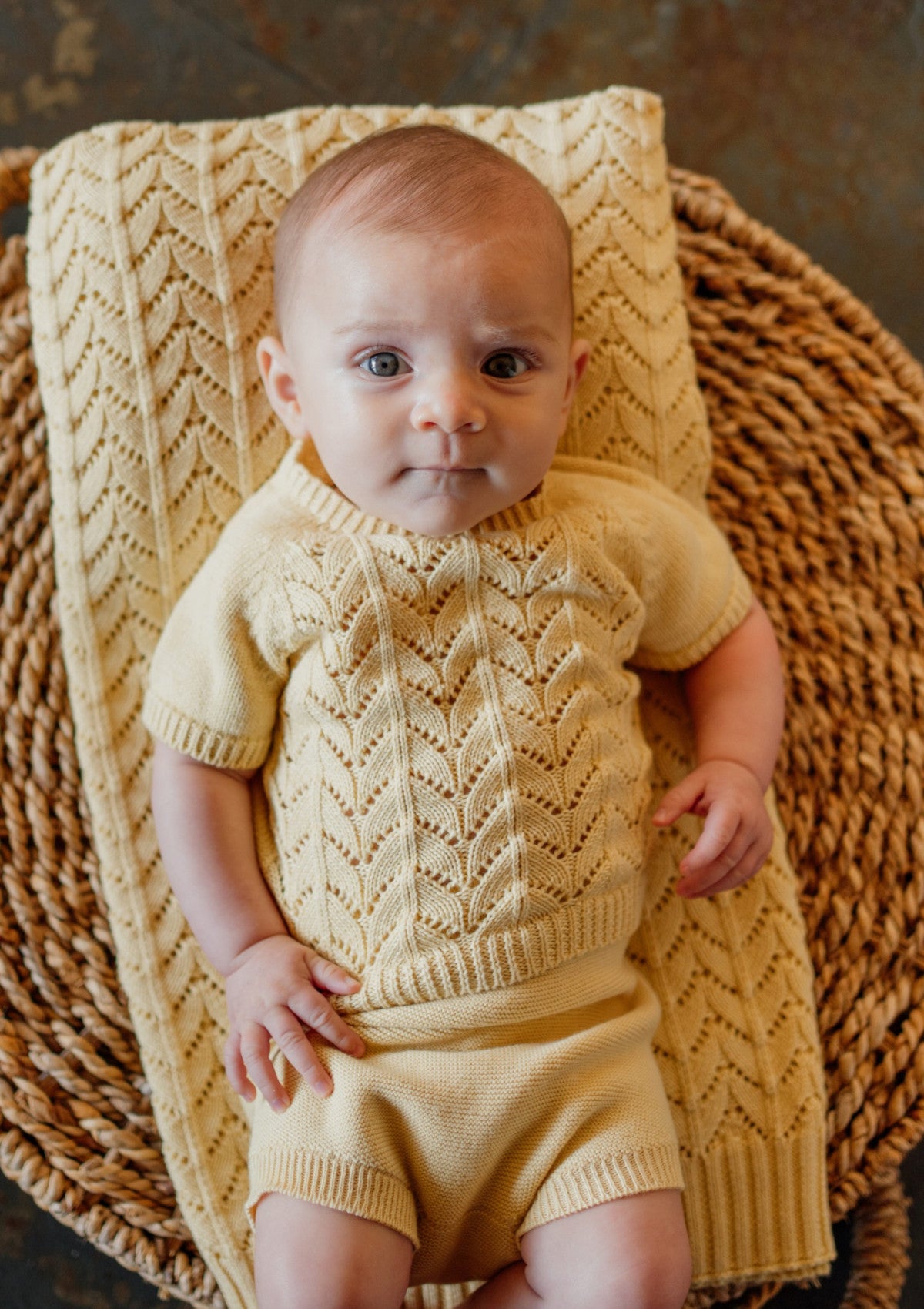 Camisola de manga curta tricotada em algodão orgânico | SUMMER IN THE VILLAGE - WEDOBLE