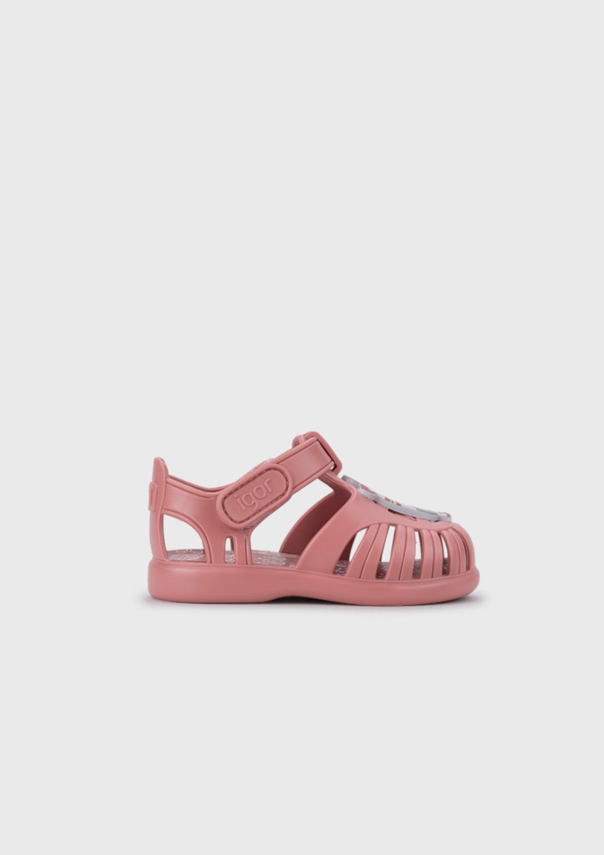 TOBBY ZEBRA ROSA - IGOR