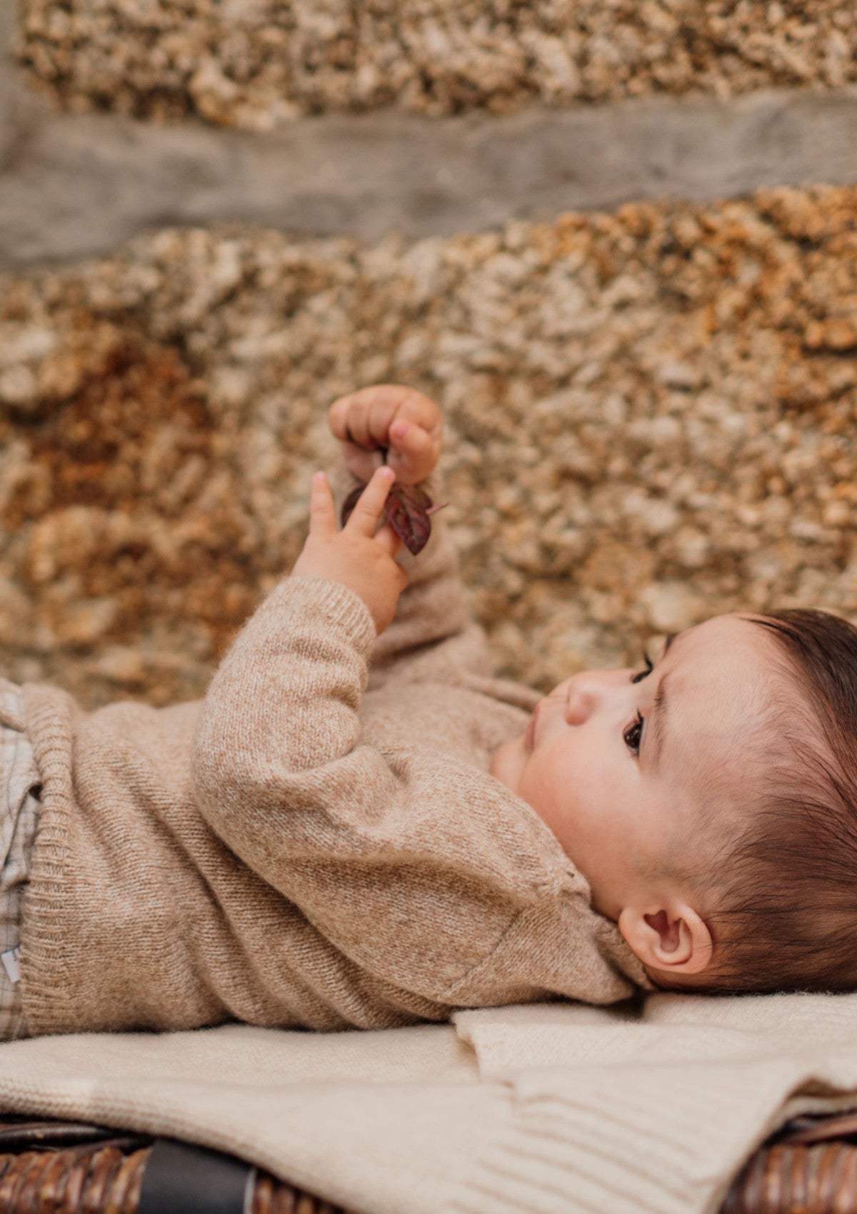 Camisola tricotada em lã merino | LITTLE TEDDY BEAR - WEDOBLE